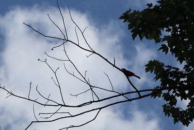 IMG_6722.JPG