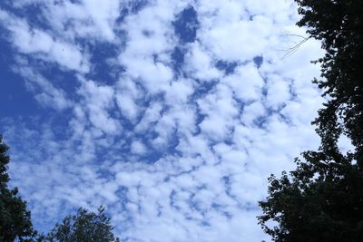 IMG_6791.JPG