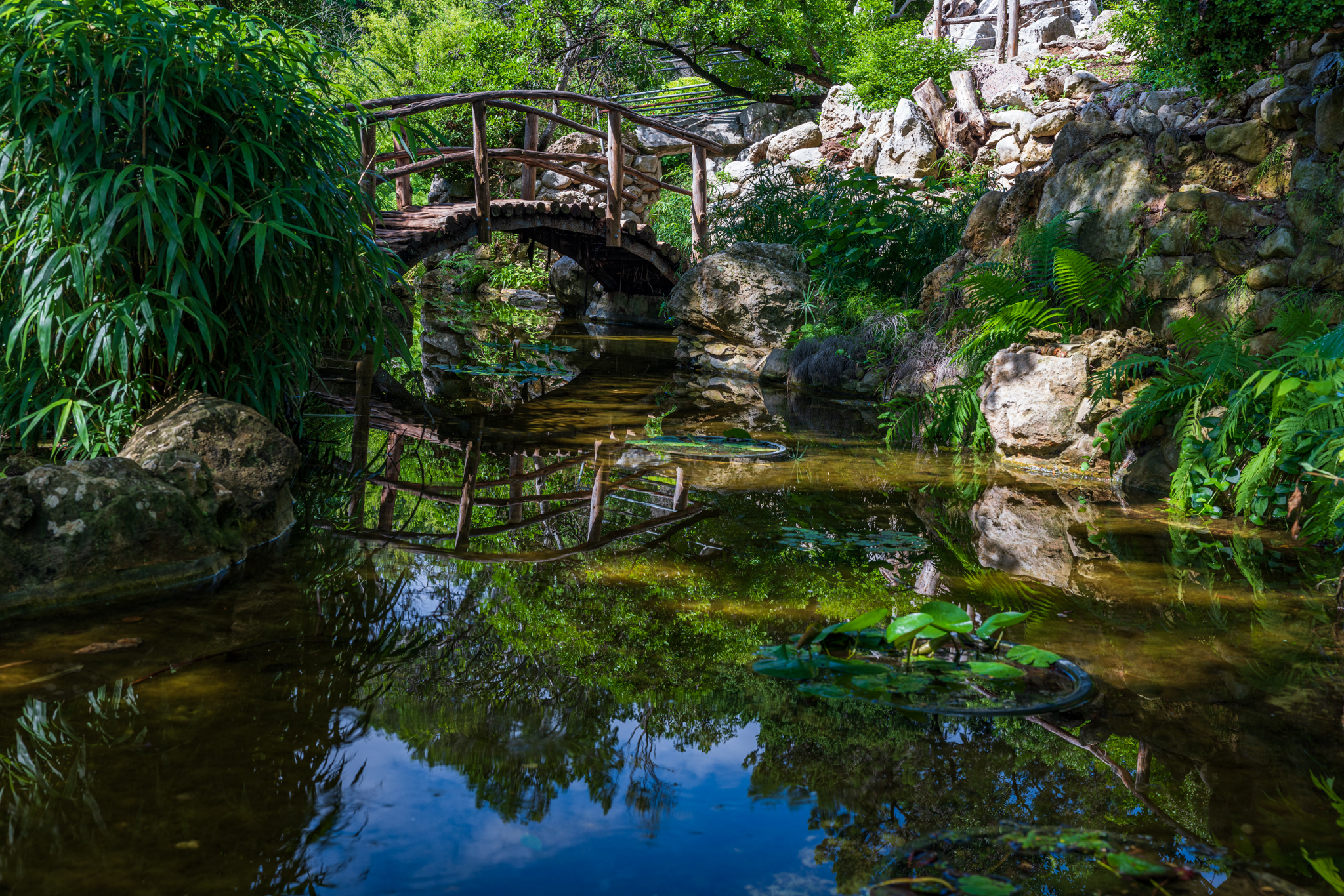 Botanical Garden - Canon Community