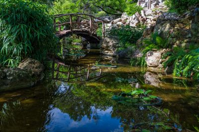 Zilker Botanical-4.jpg