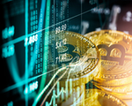 Profile (cryptoconsultan)