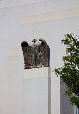 Eagle.JPG