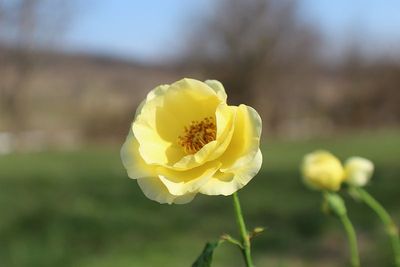IMG_0097.JPG