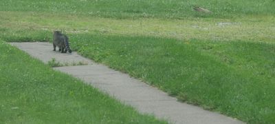 blink.JPG