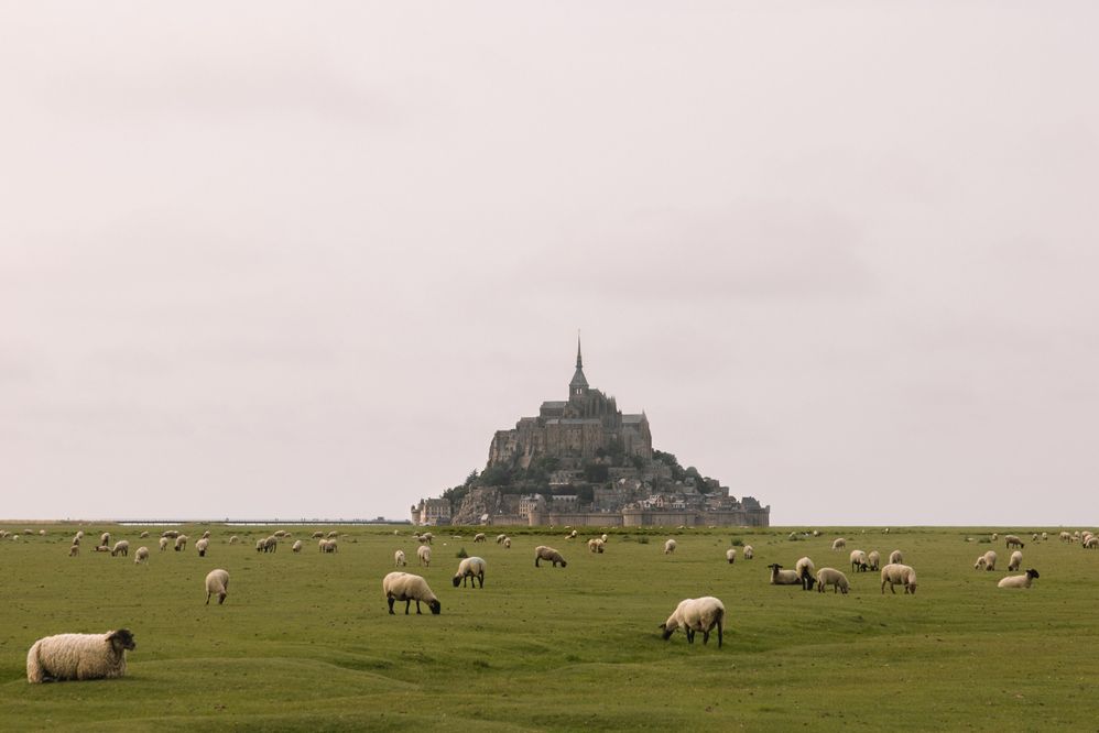 MAUR6749.jpg