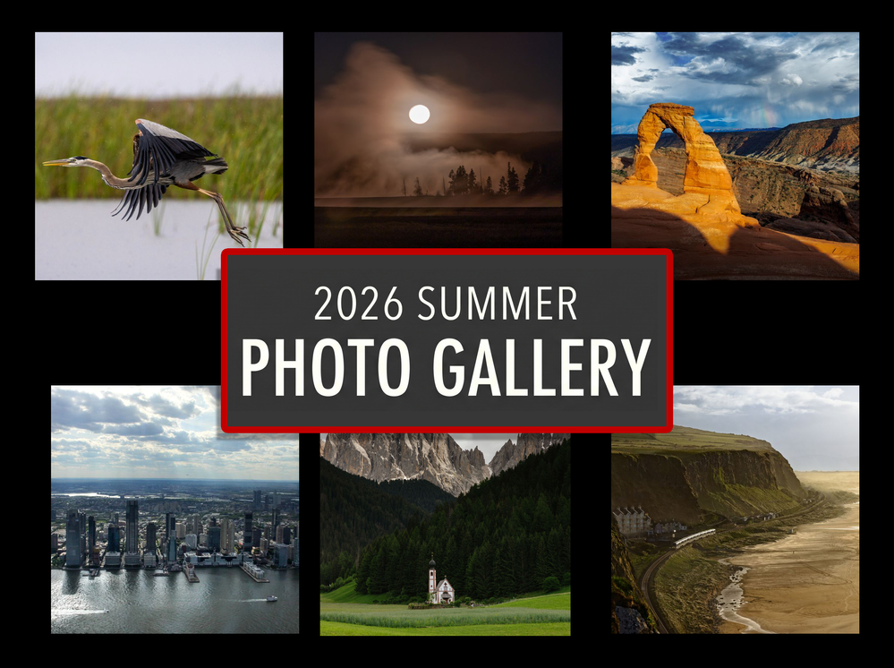 Welcome to the 2026 Summer Gallery!