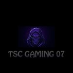 Profile (TSCGAMING07)