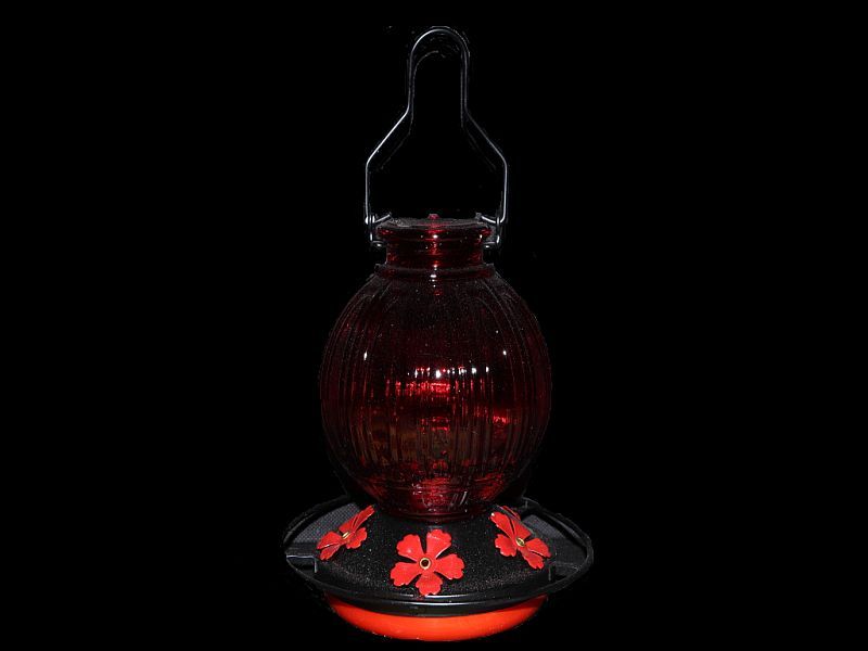 lantern on black.jpg