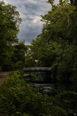 GreatFallsMD-28min.jpg