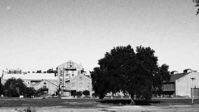 old sugar mill site.JPG