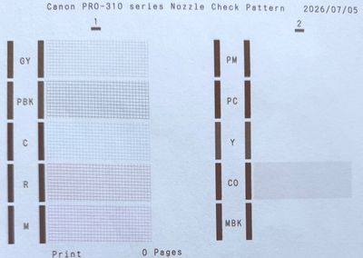 nozzle check.jpg