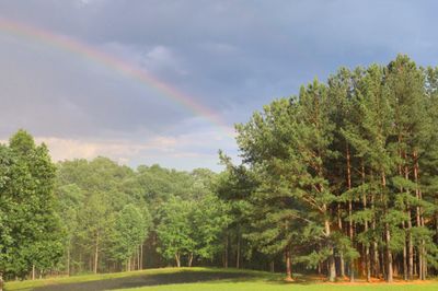 RainbowWideReduced.jpg