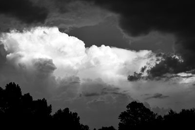 _Z5A1178B&W.JPG