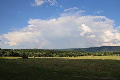 IMG_0394.JPG