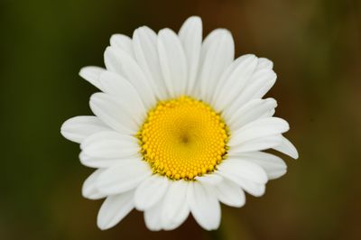 _Z5A7289brighterReduced.JPG