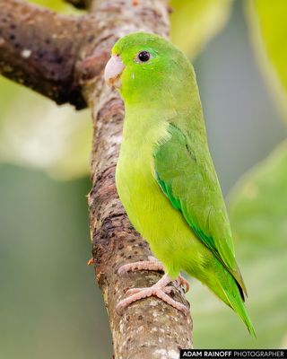 20250915-392195-2.jpg