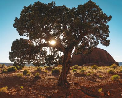 _DSF5870-Pano-Recovered_Small.jpg