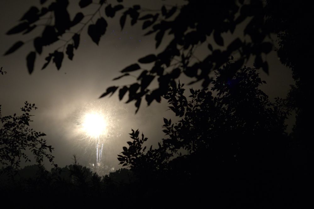 Firework.jpeg