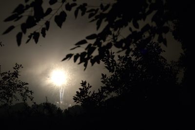 Firework.jpeg