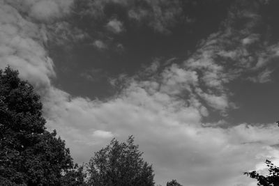 IMG_7361.JPG