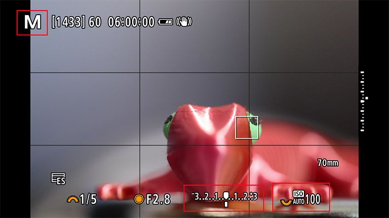 The light meter is visible at the bottom of the screen when shooting on Auto ISO
