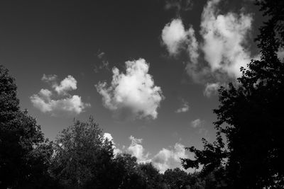 IMG_7427.JPG