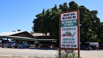 Davis Ranch in Sloughouse CA.JPG