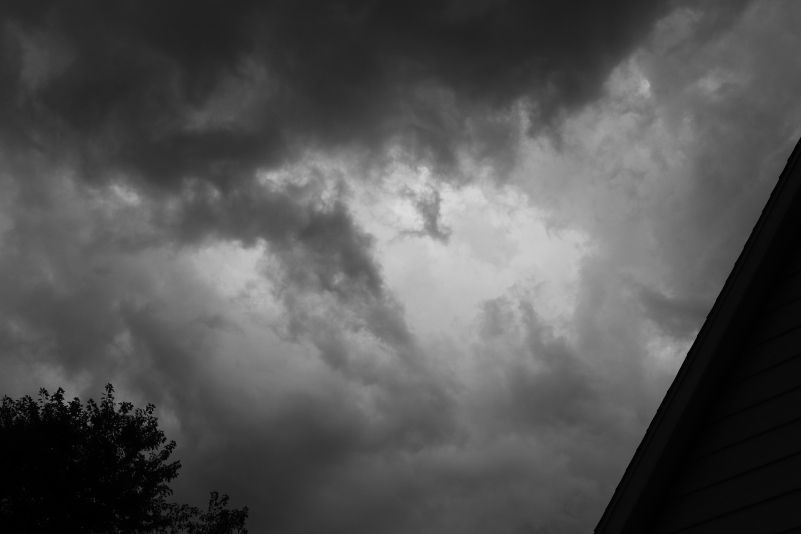 IMG_7591.JPG