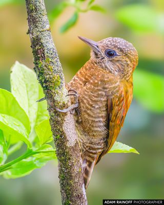 20250915-392132-2.jpg
