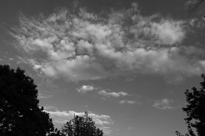 IMG_7962.JPG