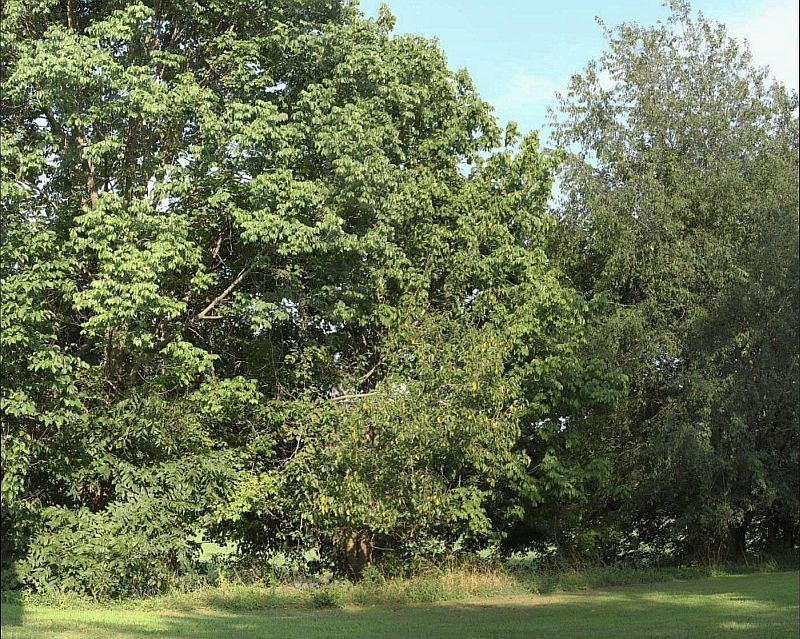 2-4 pano.jpg
