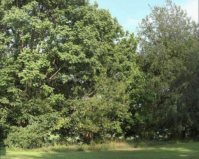 2-4 pano.jpg