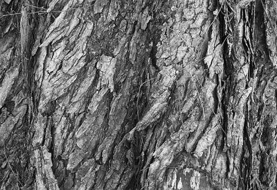 textures.jpg