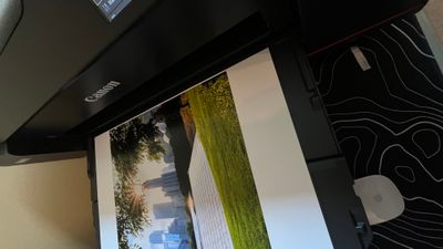 IMG_1114.jpeg