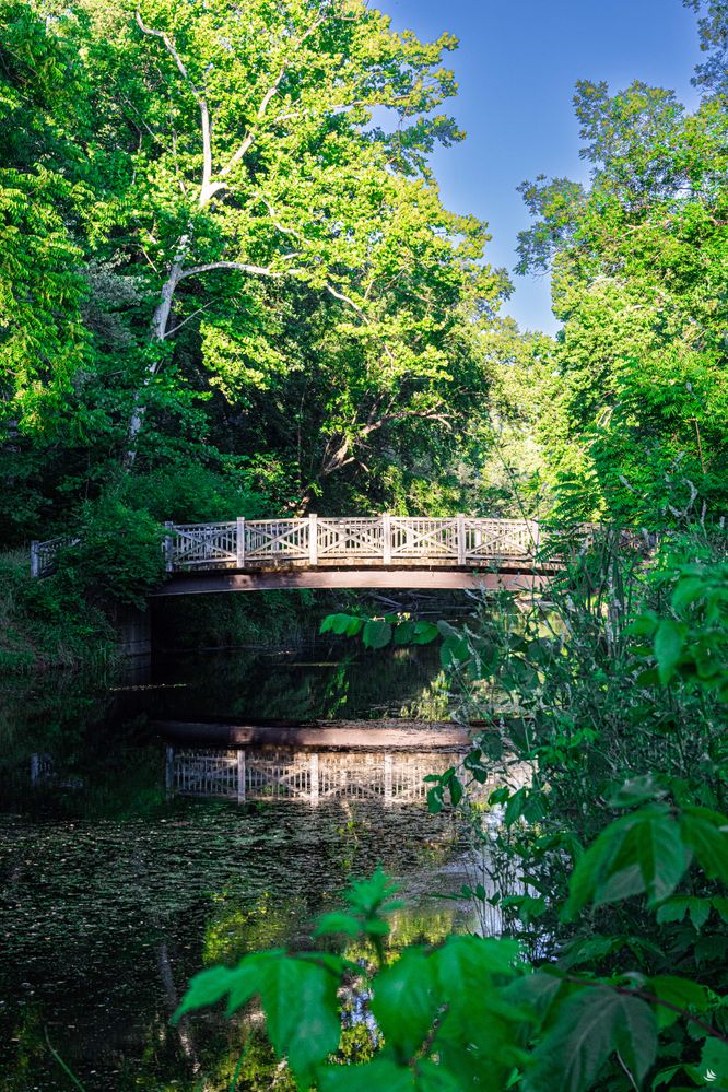 GreatFallsMD-18min.jpg
