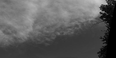 pano.jpg