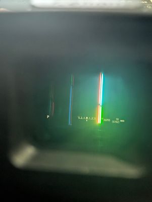 1000082350.jpg