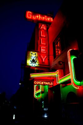 AlleyCat1.JPG