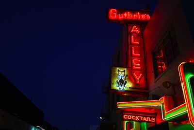 Alleycat2.JPG