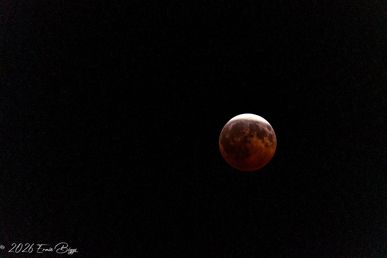moon.jpg