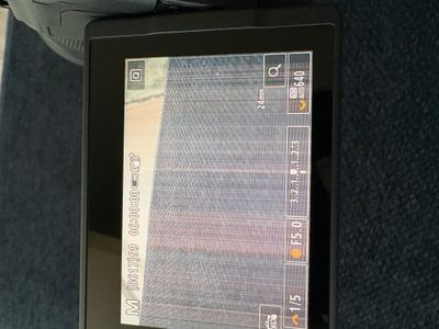 IMG_4663.jpeg