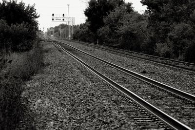 On The Tracks.jpeg