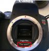 Canon pogo pins.jpg