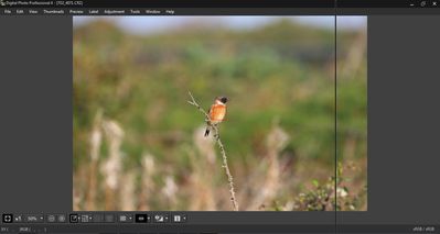 2015-09-30_141451 b.jpg