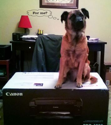 CanonPRO1000-Delivery.jpg