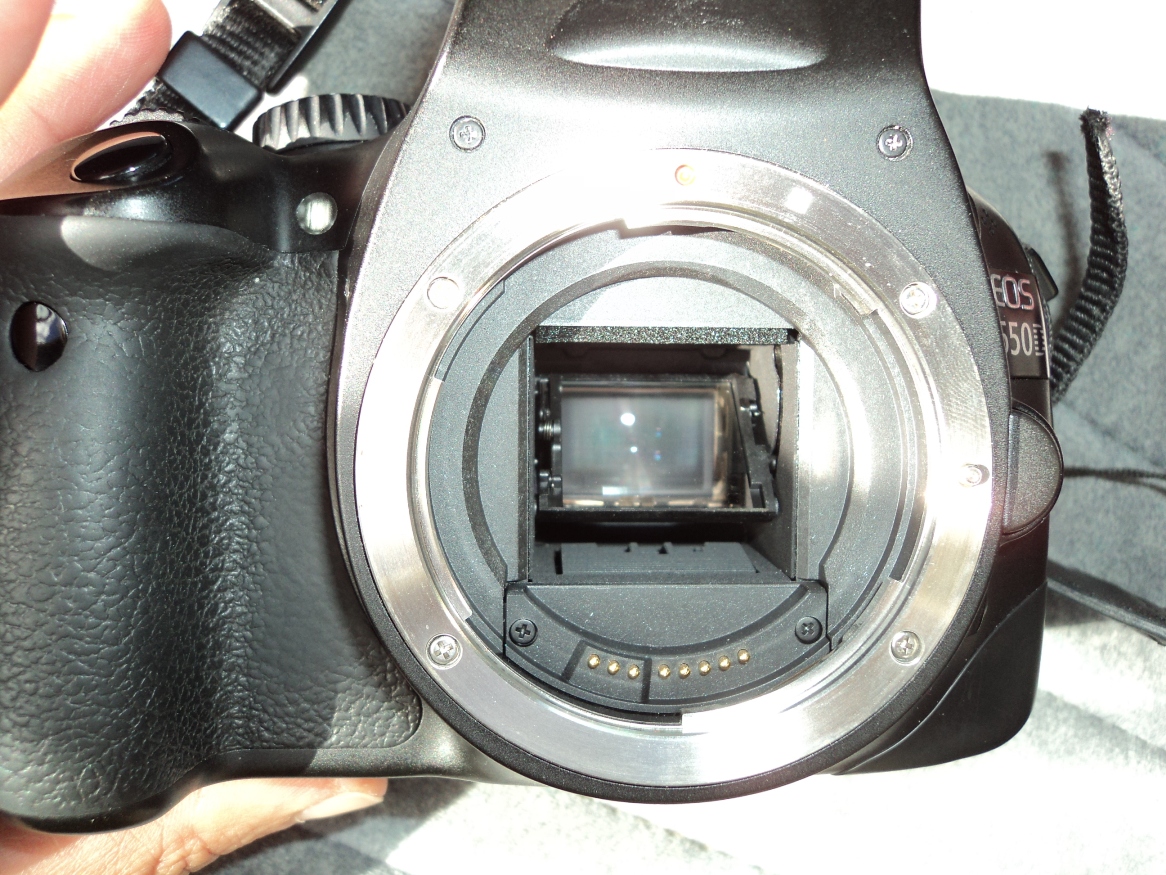 PICTURE LENS REMOVED.JPG