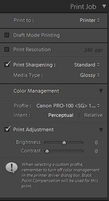Print Settings - LR.JPG