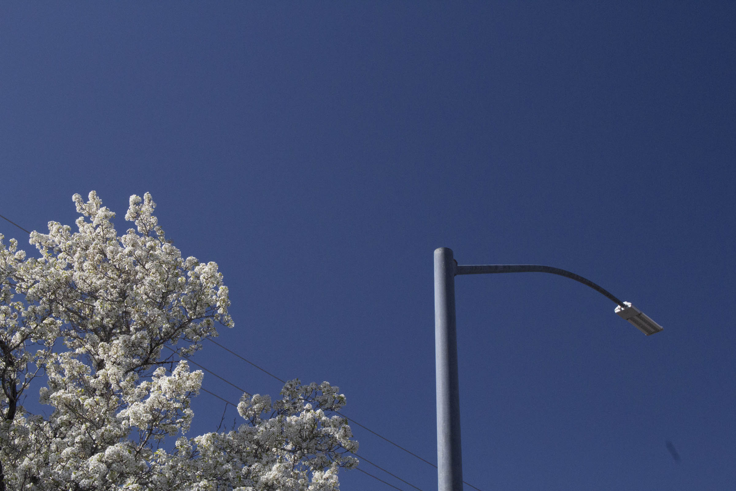 Cleaning before and after 2.4.jpg