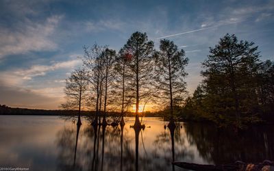 2016 April Stumpy-311 (Large).jpg