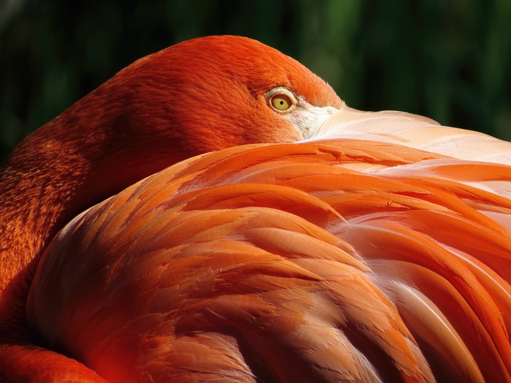 2016tonybritton (2).jpg